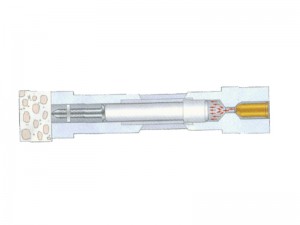 Integrated nail