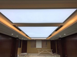 ceiling nail